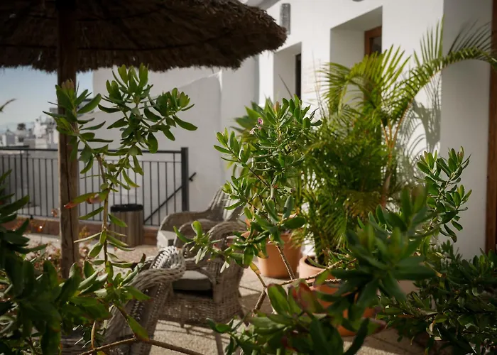 Las Palmeras del Califa Vejer de la Frontera